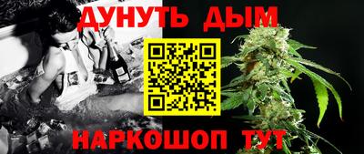 крисы Краснодар
