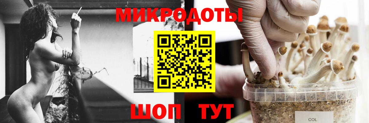 Псилоцибиновые грибы мицелий Городец